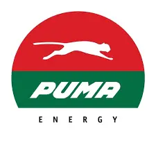 Puma Energy — cliente e parceiro da Easyhost Moçambique em hospedagem web e serviços cloud