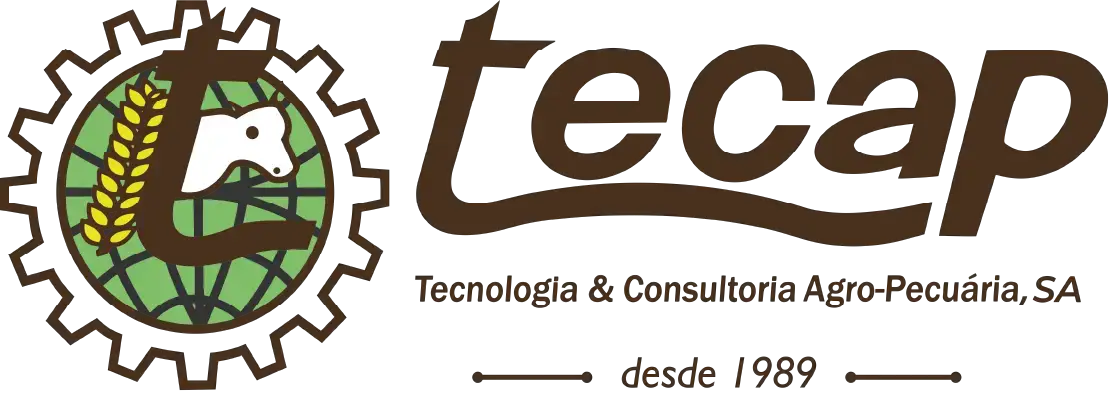 TECAP — cliente e parceiro da Easyhost Moçambique em hospedagem web e serviços cloud